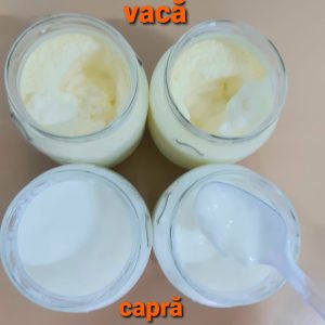 Care sunt diferențele dintre laptele de capră și laptele de vacă?